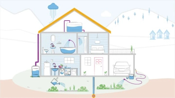 Water saving quiz